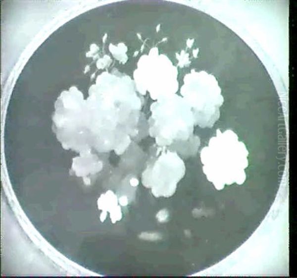 Red And White Begonians In A Bowl - view 1