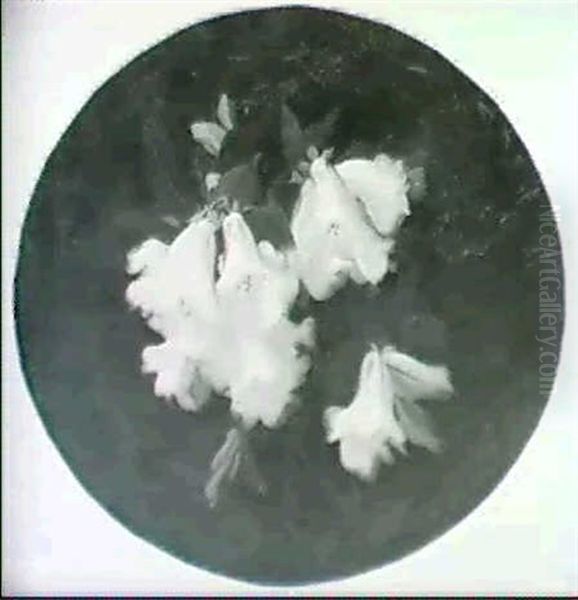 A Still Life Of Rhododendron - view 1
