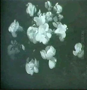 Still Life Of White Flowers