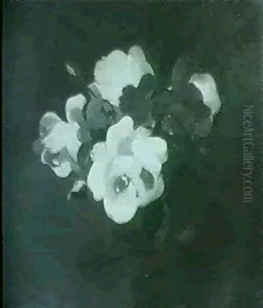 Pink Roses - view 1