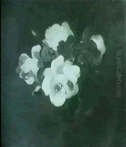 Pink Roses Pink Roses