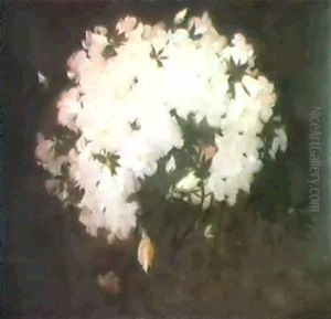 White Azaleas by Stuart James Park