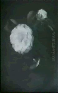 White Camillias White Camillias