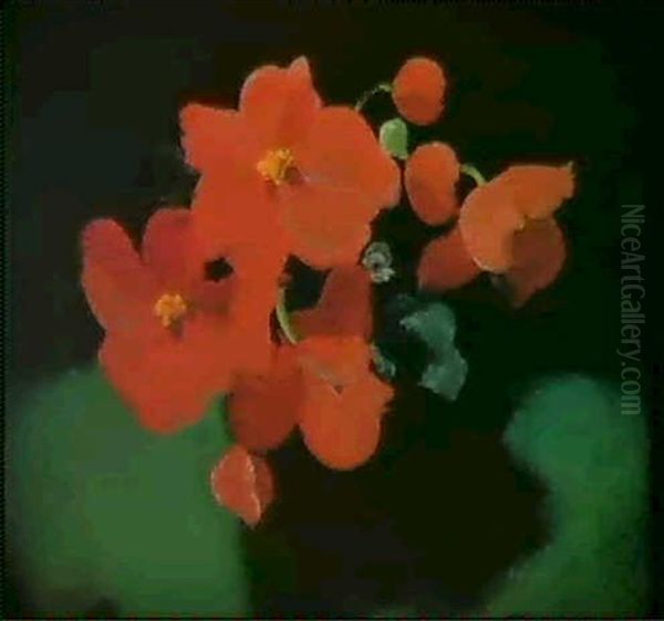 Red Begonias - view 1