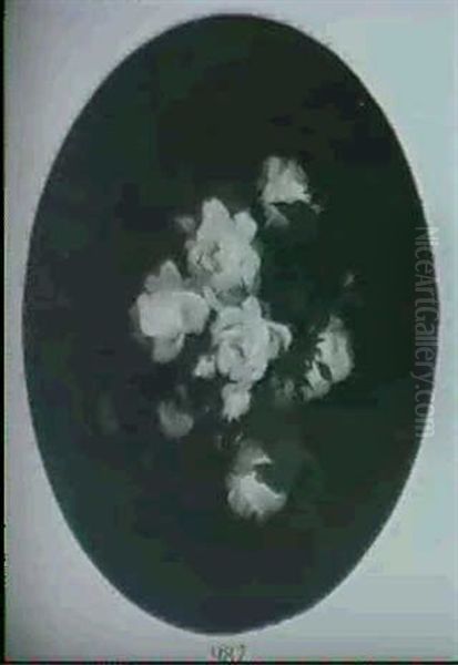 Red And White Roses - view 1