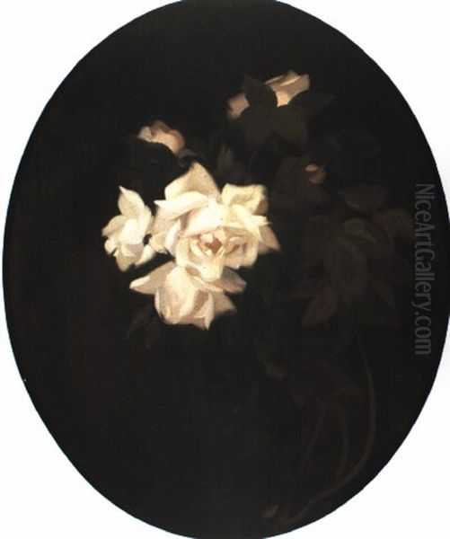 Salmon Pink Roses - view 1