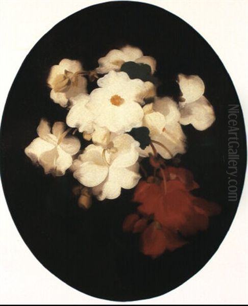 Red And White Begonias - view 1