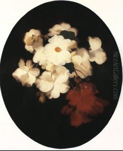 Red And White Begonias by Stuart James Park