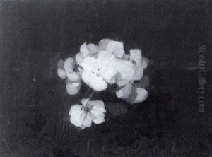 White Pansies White Pansies