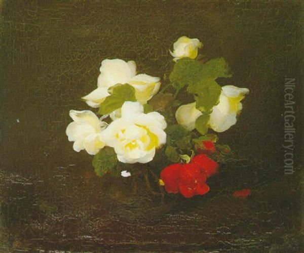 Yellow And Red Roses - view 1