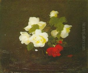 Yellow And Red Roses by Stuart James Park