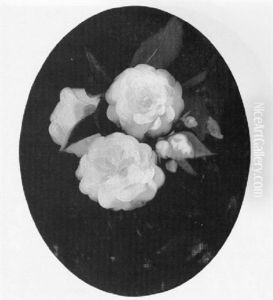 White Camellias White Camellias