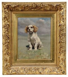 Spaniel Puppy In Sunny Field