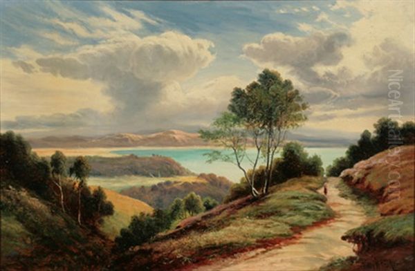 A Highland Path - view 1