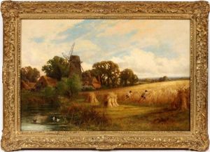 A Surrey Cornfield