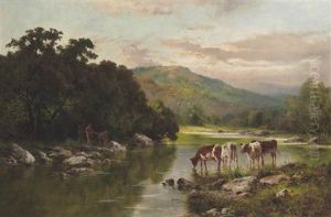 On The Lledr, North Wales