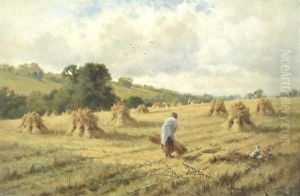 In The Fields In The Fields