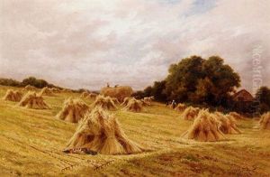 A Surrey Cornfield Near Reigate