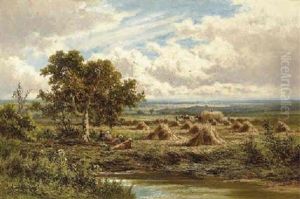 A Surrey Cornfield