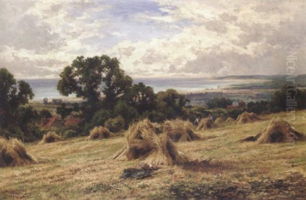 A Sussex Cornfield - view 1