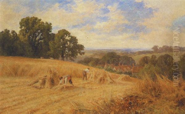 A Harvesting Scene With An Extensive Landscape Beyond - view 1