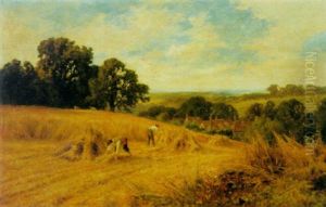 In The Hayfield
