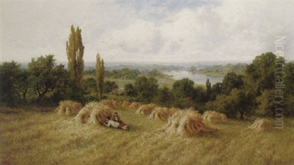 A Corn Field, Chertsey-on-thames, Surrey - view 1