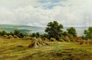 Harvesting By The Sea Harvesting By The Sea