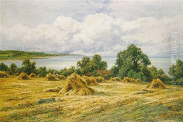 Harvest Time - On The Sussex Coast - view 1