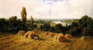 The Cornfield, Chertsey-on-thames