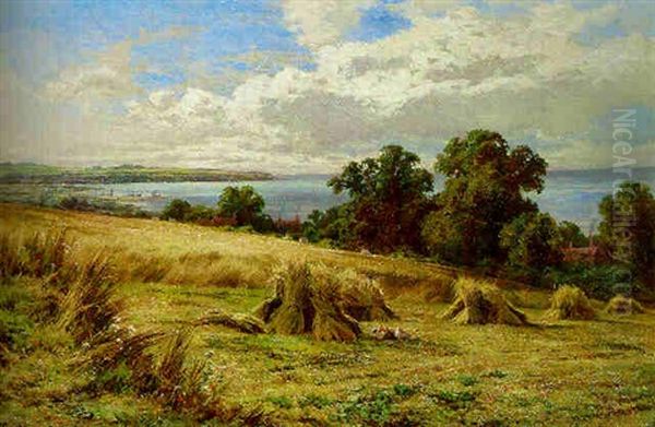 Harvesting On The South Coast - view 1