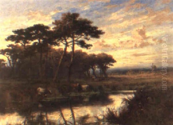 Evening On The Avon - view 1