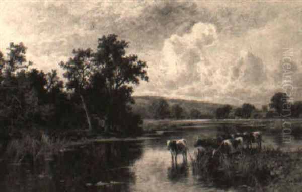 Cows Wading By A River - view 1