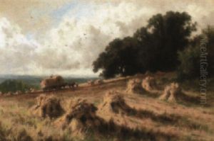 A Surrey Cornfield