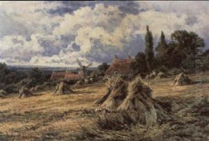 A Surrey Cornfield