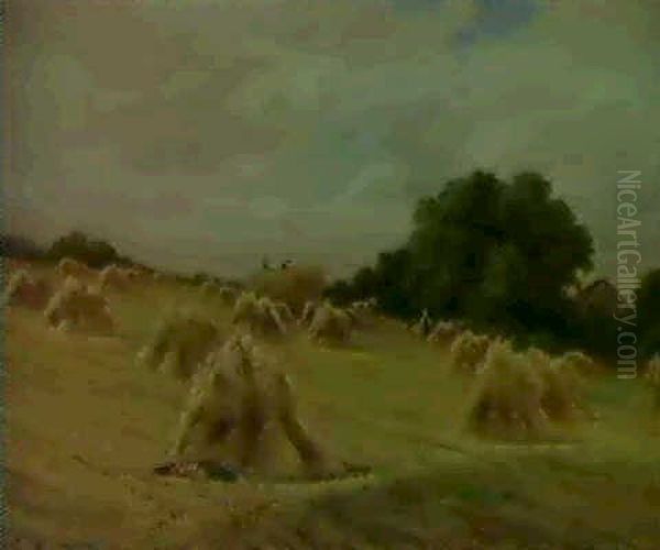 A Surrey Cornfield, Ner Reigate - view 1