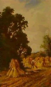 A Surrey Cornfield
