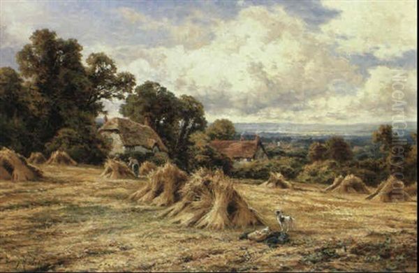 Harvest Time Near Haslemere - view 1