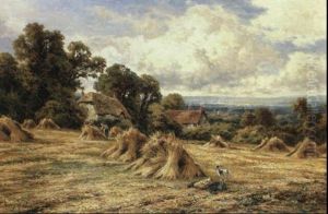 Harvest Time Near Haslemere Harvest Time Near Haslemere