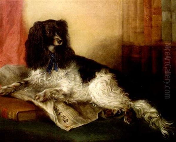 Portrait Of A King Charles Spaniel Seated On A Book And Newspaper - view 1