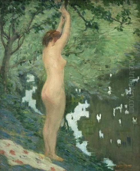 The Quiet Pool - view 1