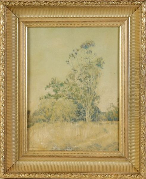Study Of Trees - view 1