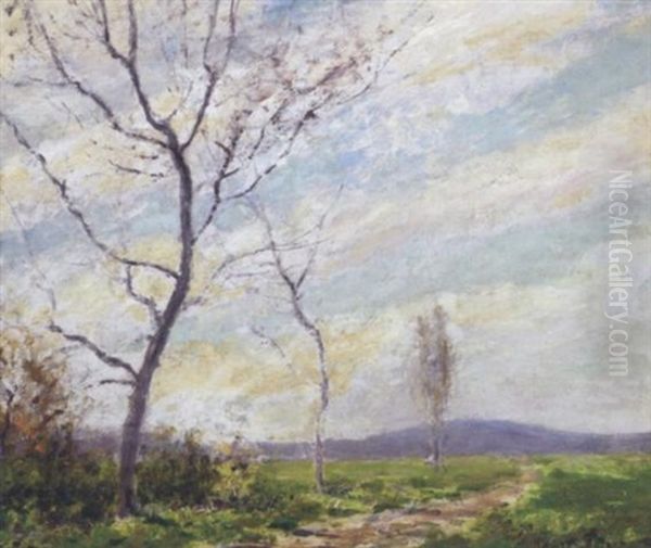 Early Spring Landscape - view 1