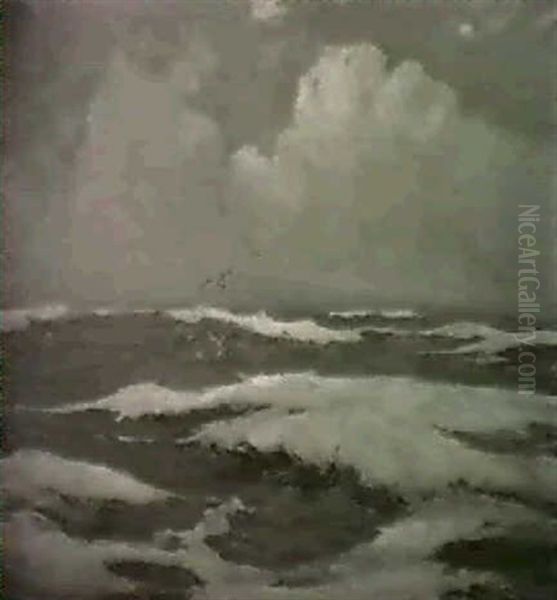 A Summer Sea - view 1