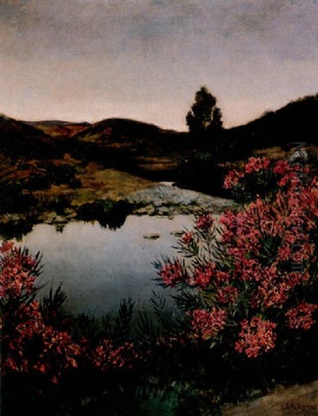 Paisaje - view 1
