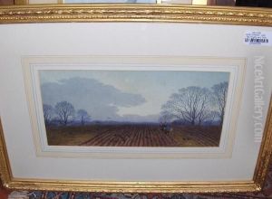 Ploughing Early Evening