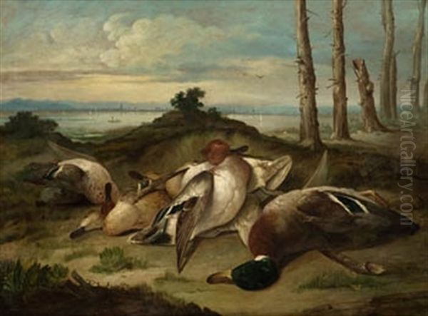 Patos - view 1