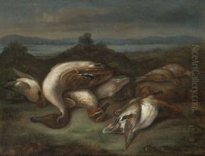 Bodegon De Aves Acuaticas by Miguel Parra Y Soler