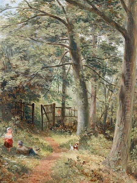 A Summer's Picnic In The Woods - view 1