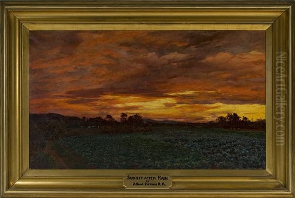 Sunset After Rain - view 1